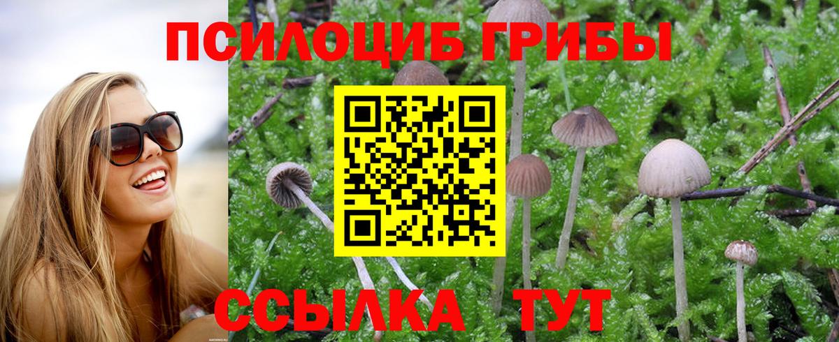 Псилоцибиновые грибы MAGIC MUSHROOMS Воскресенск