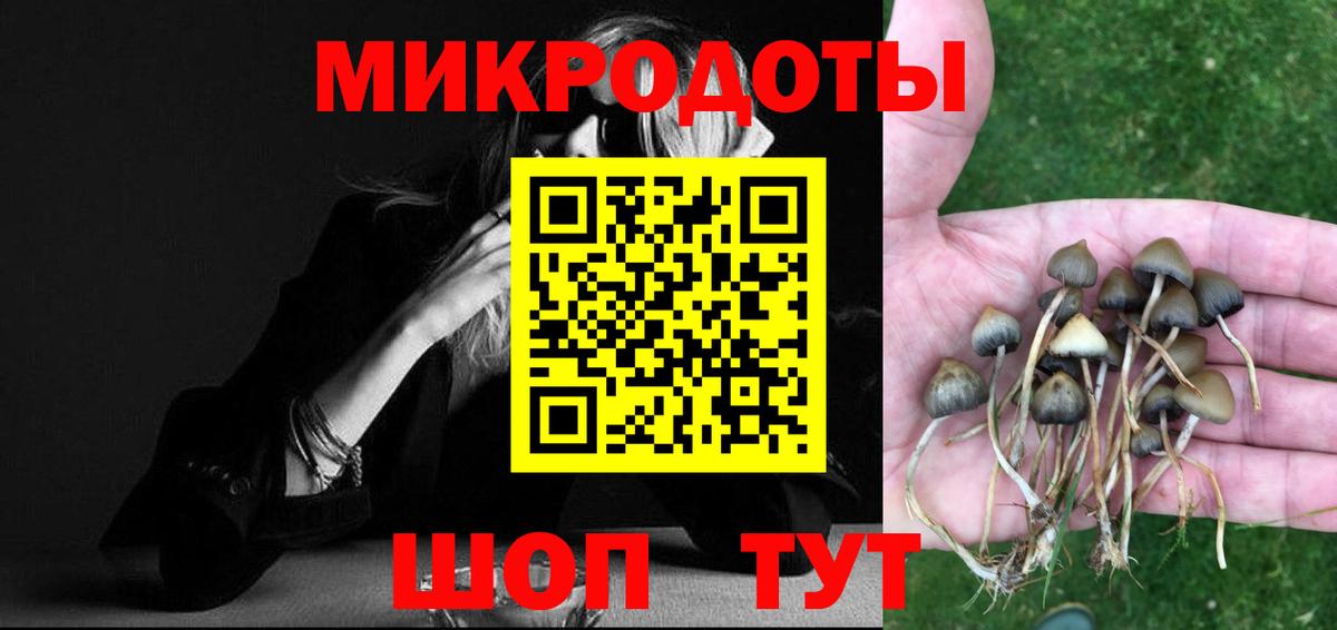 Псилоцибиновые грибы прущие грибы  Вход с VPN  Воскресенск  Галлюциногенные грибы Psilocybine cubensis 